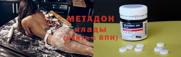прущие грибы Вяземский