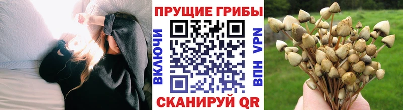 Купить где  Малоархангельск  Галлюциногенные грибы MAGIC MUSHROOMS 
